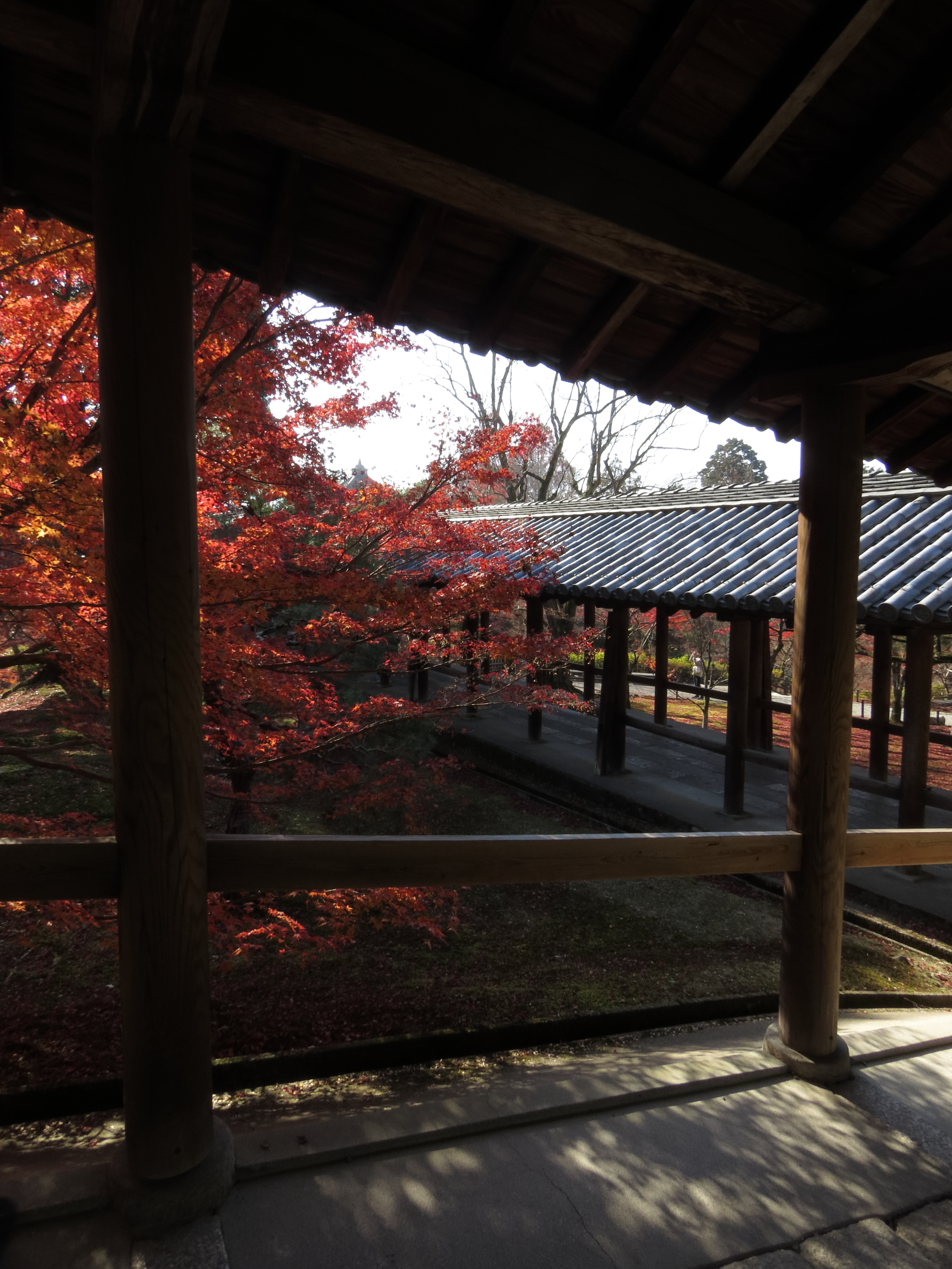 kyoto